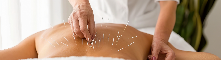 Therapeutische TCM Produkte wie Kräuter, Granulate und Zubehör für den Therapiebedarf