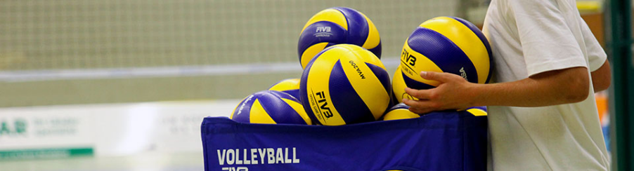 Verschiedene Trainingsbälle Volleyball in unterschiedlichen Größen und Farben auf einem Volleyballfeld