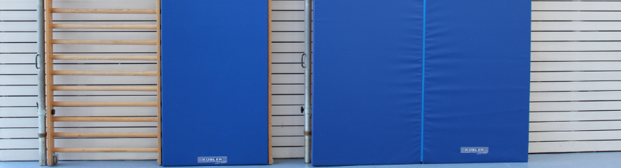 Doppelsprossenwand kaufen